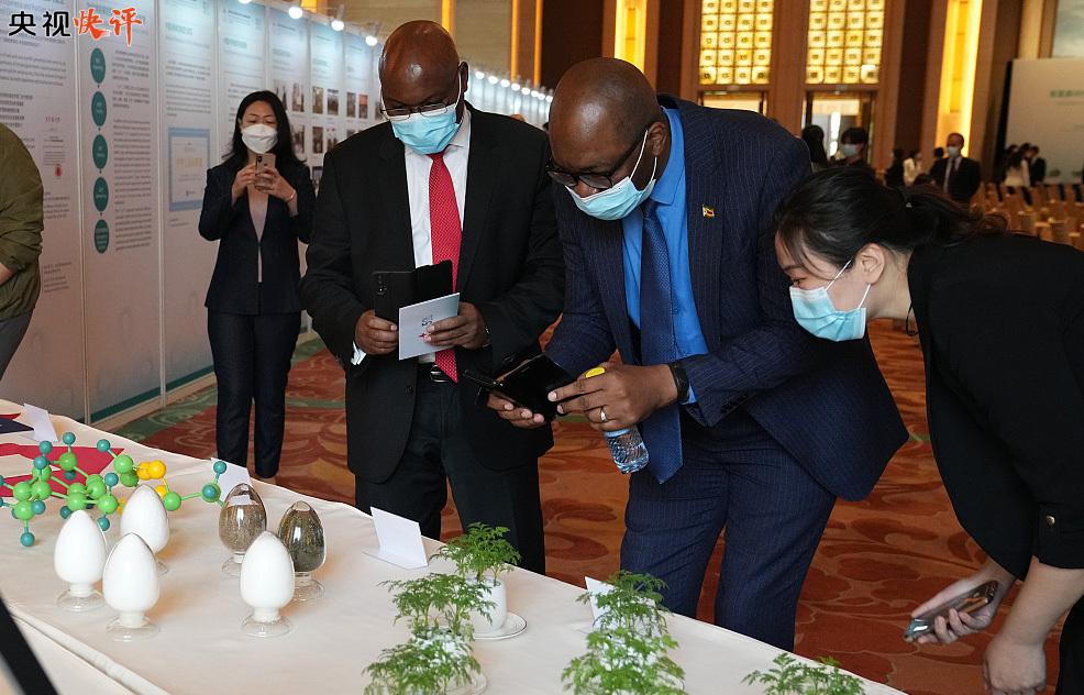 疫情开始的时间与全球公共卫生挑战的开端