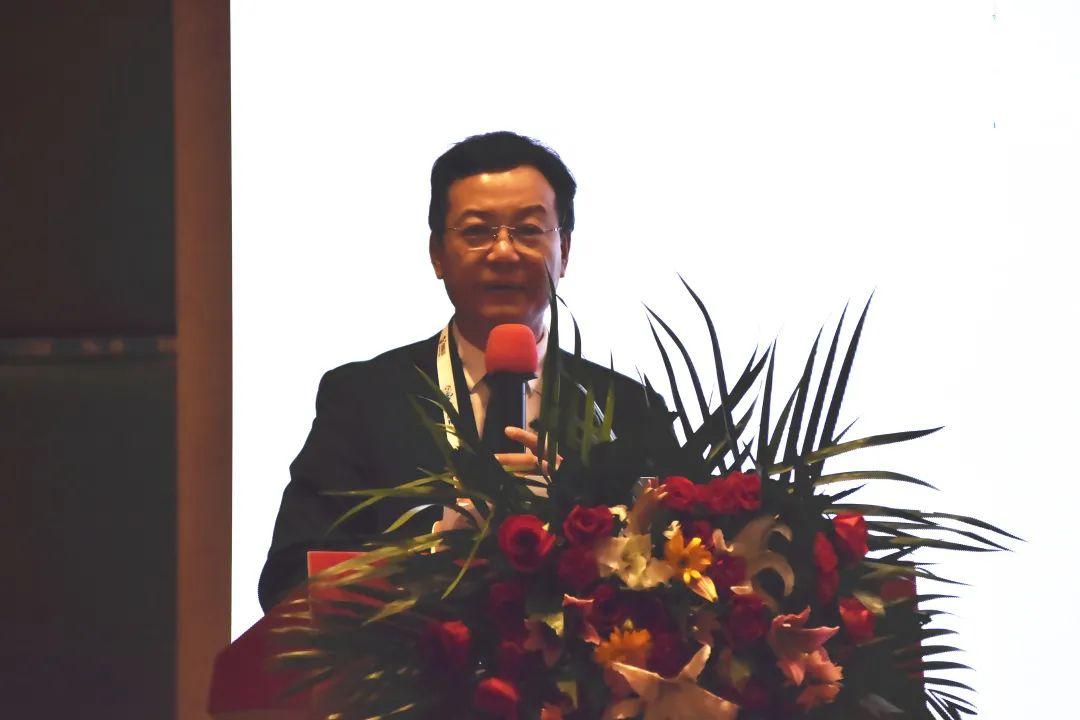 疫情开始的时间与影响，回顾与前瞻