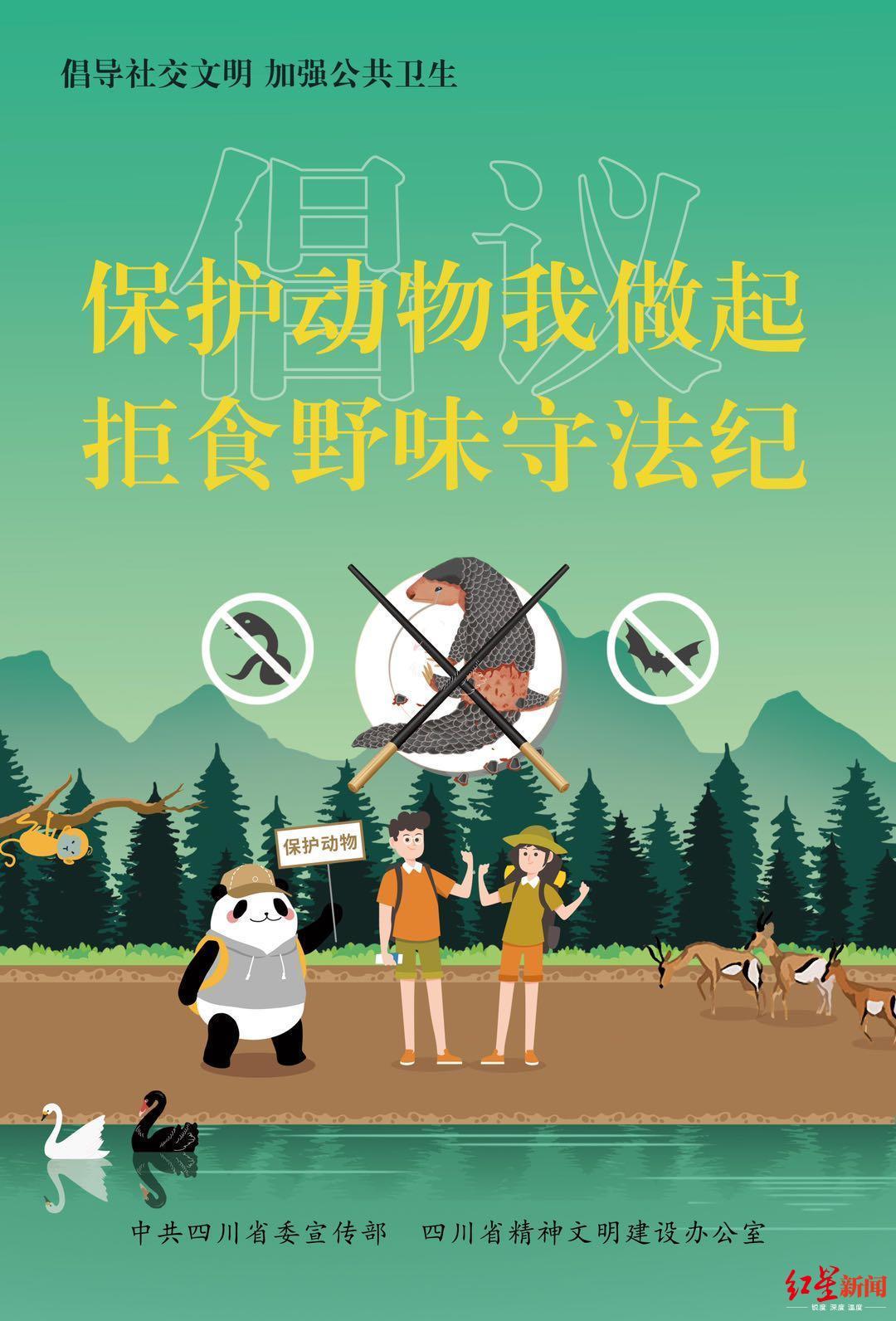 疫情开始的时间与全球公共卫生挑战
