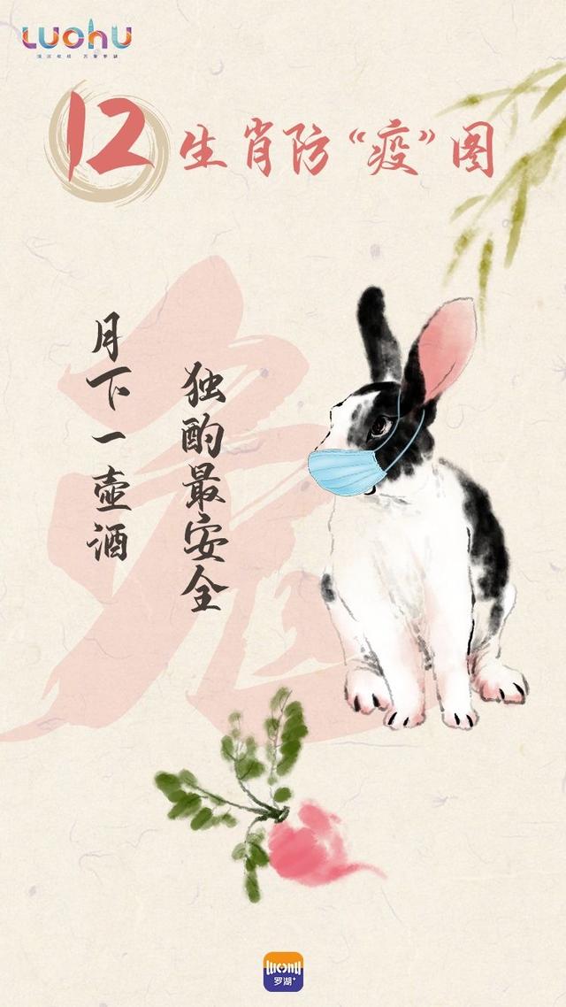 疫情开始与属相，回顾历史，展望未来