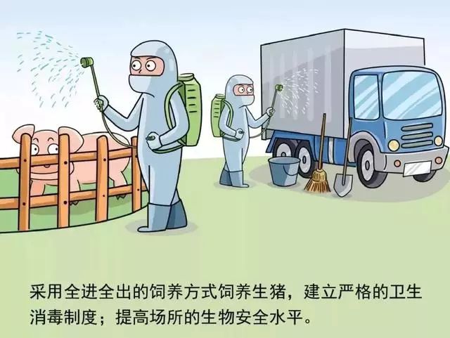 疫情是哪年哪月发生的？