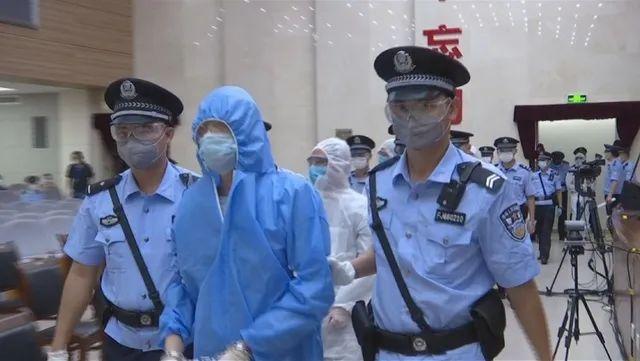 疫情始末，哪一年哪一月开始