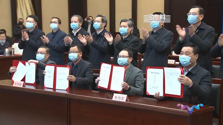 中国疫情起始年份探究