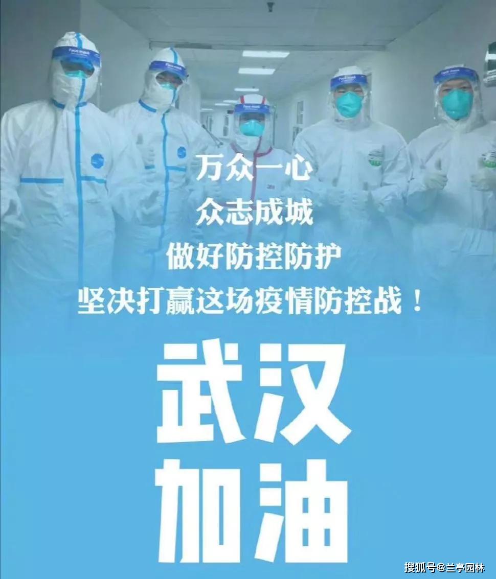 武汉疫情的开始年份，回顾与反思