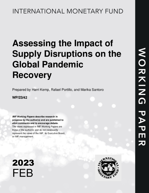 The Year of the Pandemics Outbreak: A Global Perspective