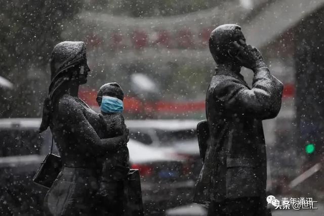 疫情爆发与发现，历史的记忆与人类的觉醒