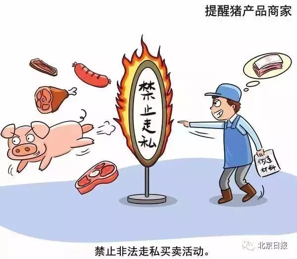疫情爆发下宾馆的严峻挑战，源头与影响分析