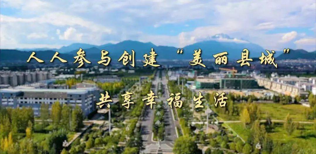 深圳疫情实时动态，城市防控与应对策略