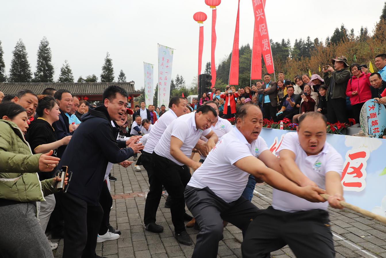 重庆渝北区疫情的挑战与应对
