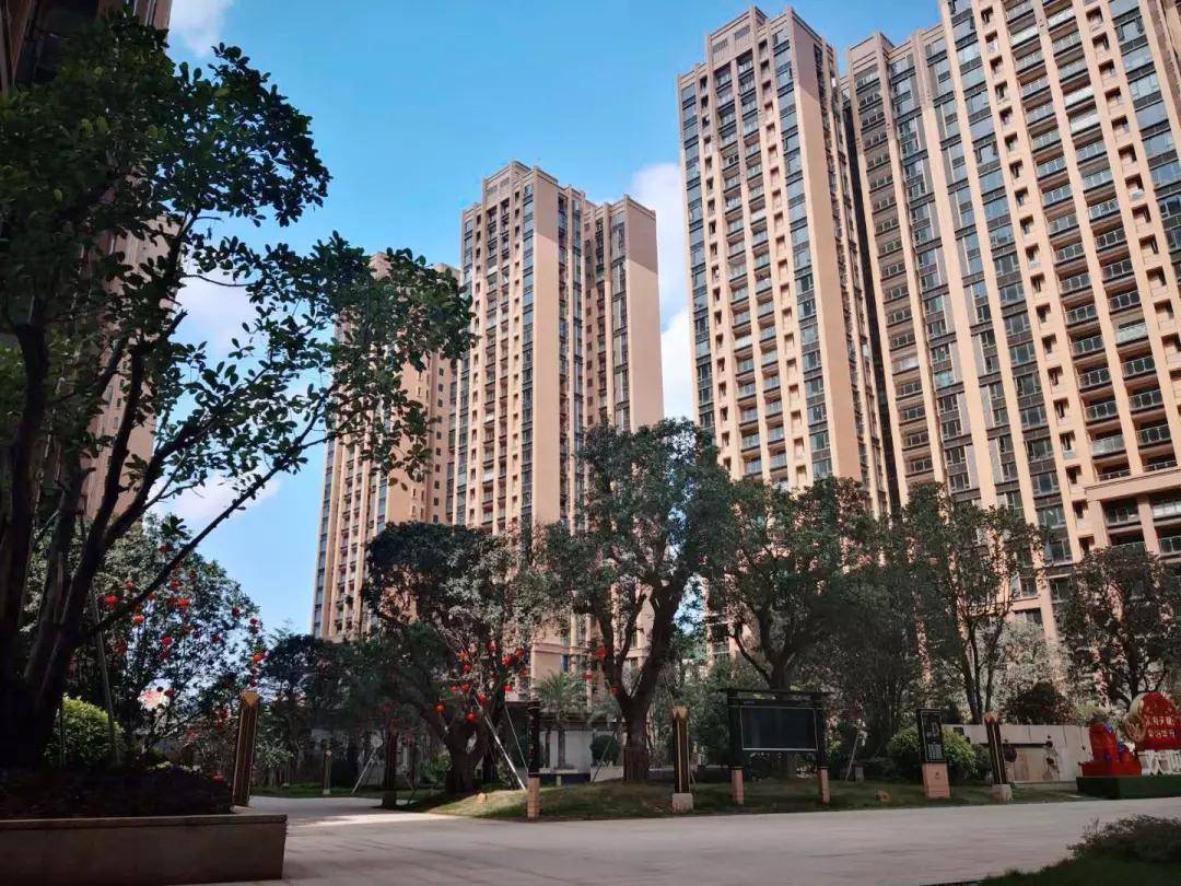 重庆渝北疫情分布情况分析