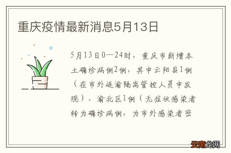 重庆疫情最新情况与最新消息通知
