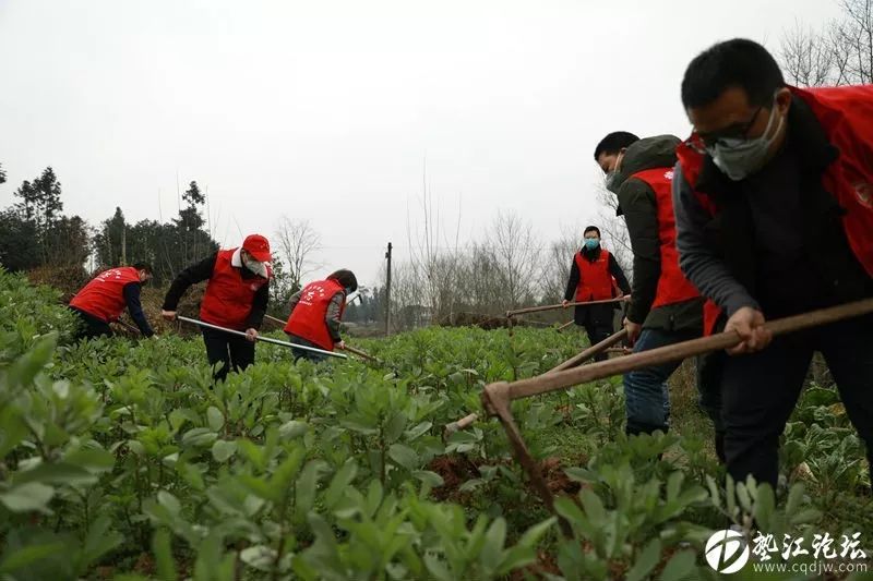重庆疫情动态实时播报，坚定信心，共克时艰