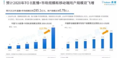 贵州疫情最新发布会直播回放，全面解析与深度思考报告