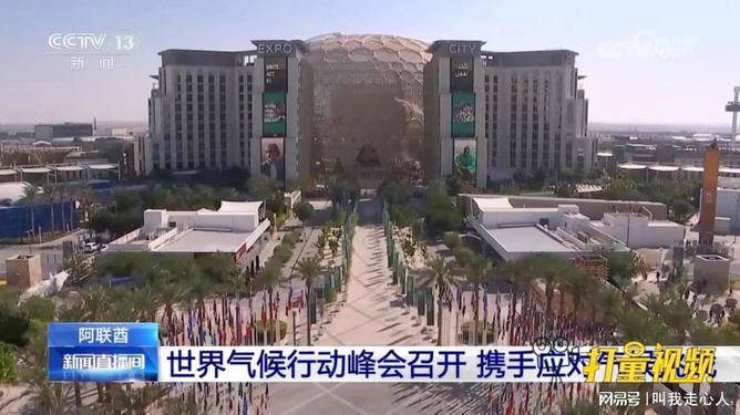 全球最新疫情动态更新，全球联手应对挑战