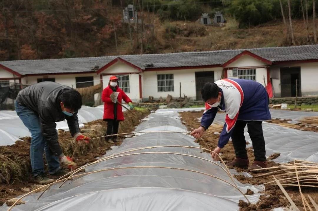 全球疫情最新数据表格图与深度分析