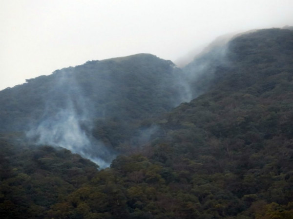 台湾地震最新动态，活动及其影响概述