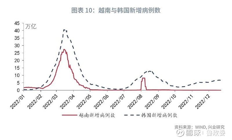 疫情未来展望，2023年疫情走向预测与应对策略探讨