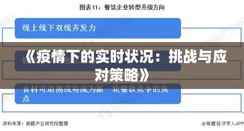 应对挑战，2023年疫情爆发期的反思与应对策略