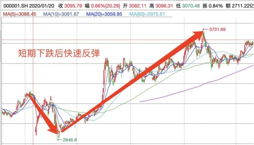 疫情开放的时间节点，回顾过去，前瞻未来