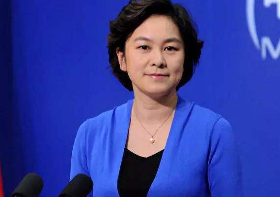 全球疫情起源揭秘与早期应对挑战的开始时刻