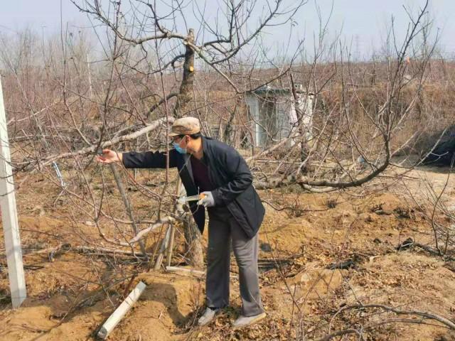 全球视角下的疫情起源观察与解析