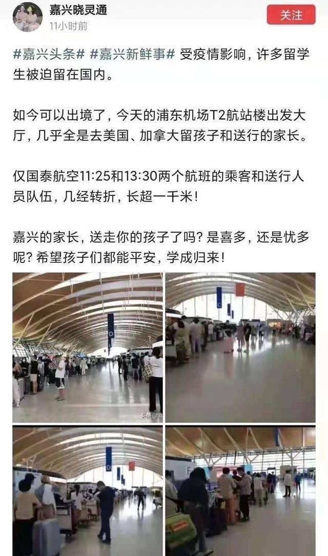 上海疫情起始解析与视频回顾