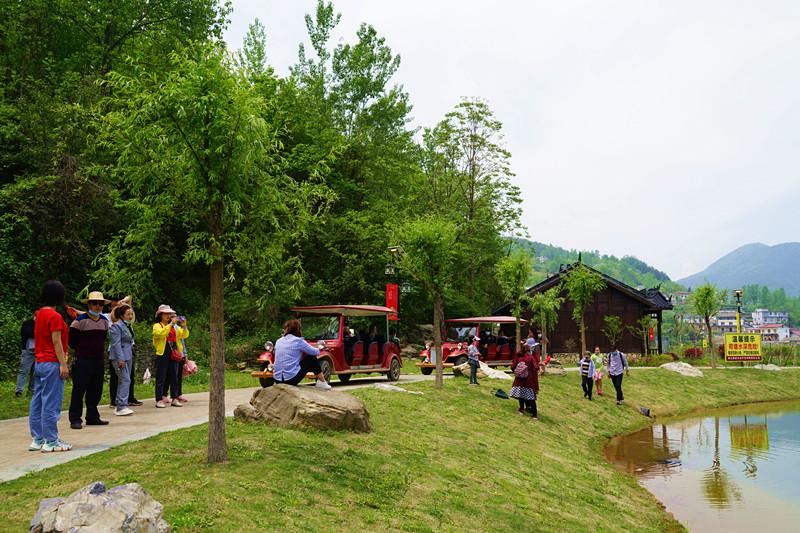 疫情之下旅游期待重燃，何时重拾旅行梦想？
