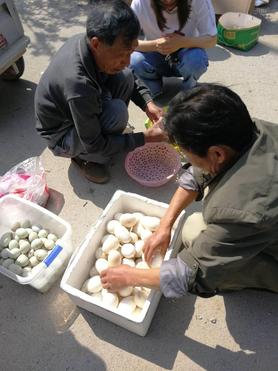 疫情散去后的未来希望之光探寻