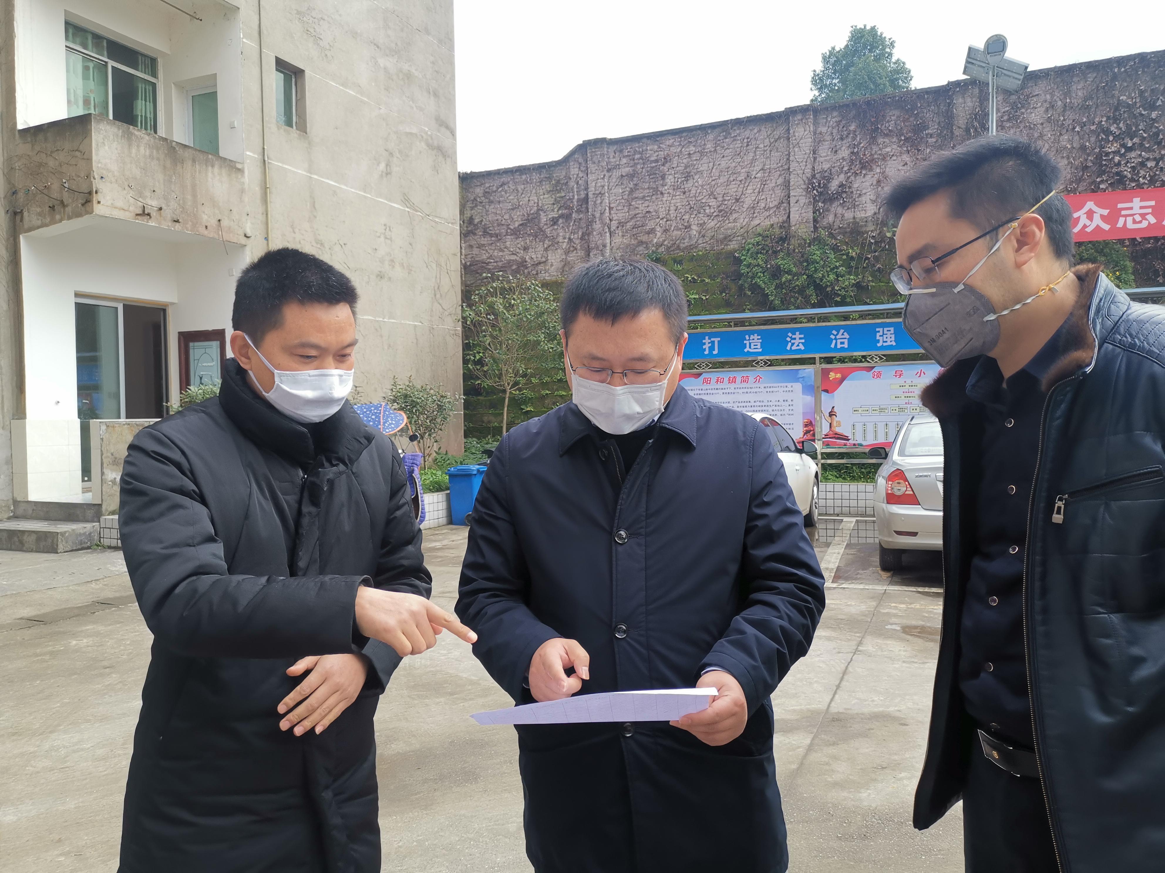 当地疫情防控全面解析报告