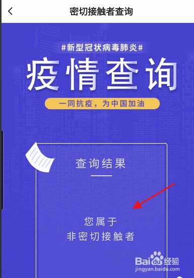 地方疫情报告查询详解与步骤指南