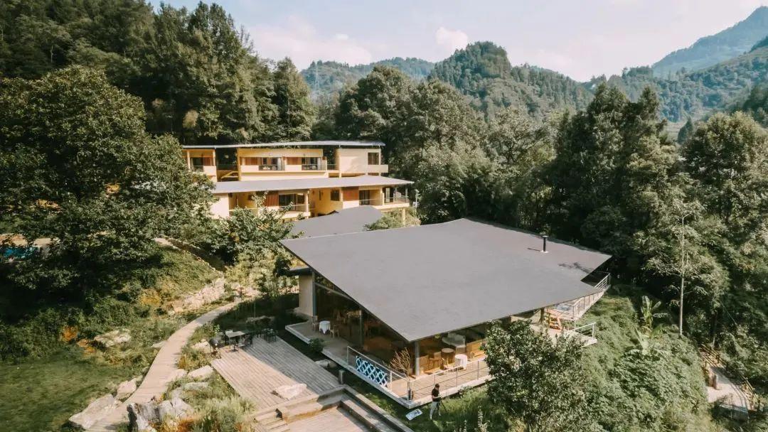 地方疫情防控查询官网，透明管理与民众安心的重要保障平台