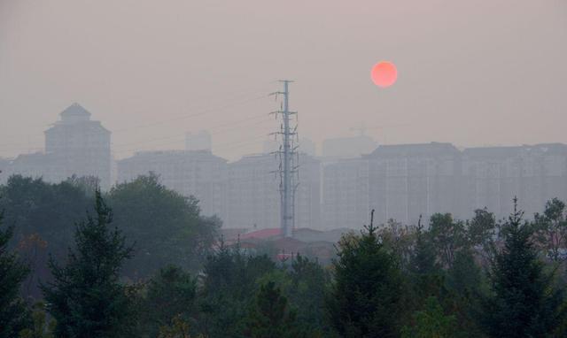 疫情阴霾下的绿洲，一座未曾沦陷的地级市抗疫实录