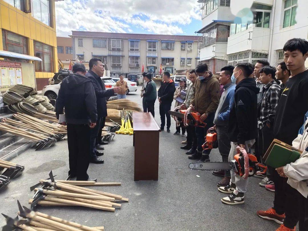 地方疫情防控措施查询指南，全面解析防控动态与应对策略