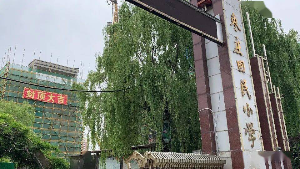 探究无疫情地区为何封城背后的原因与意义