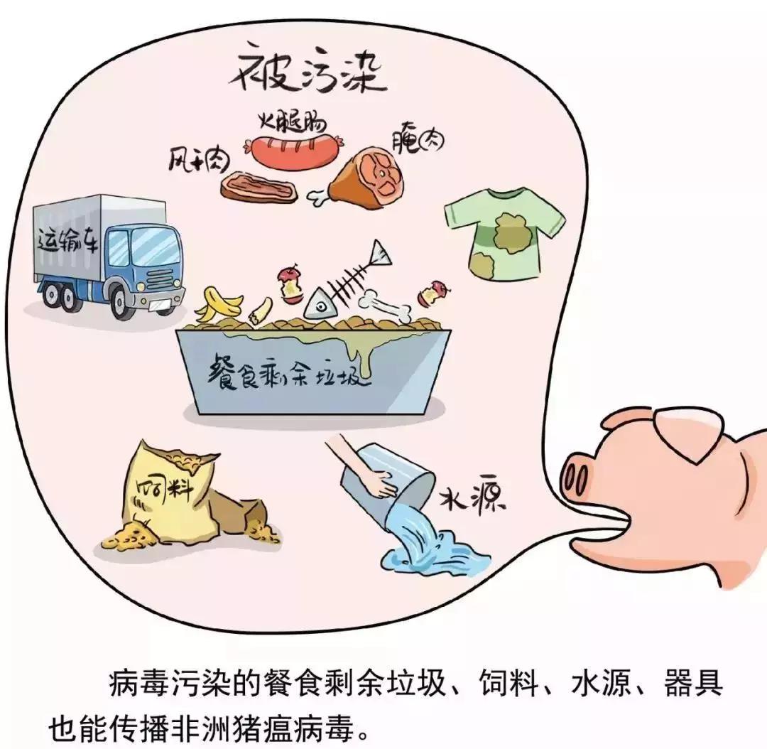 解析病毒传播机制，如何预防病毒感染，无疫情之地亦需警惕？