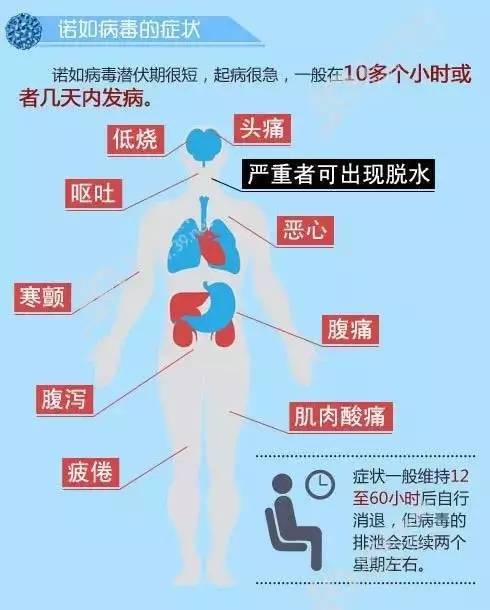 解析病毒传播机制，如何预防病毒感染，无疫情之地亦需警惕？