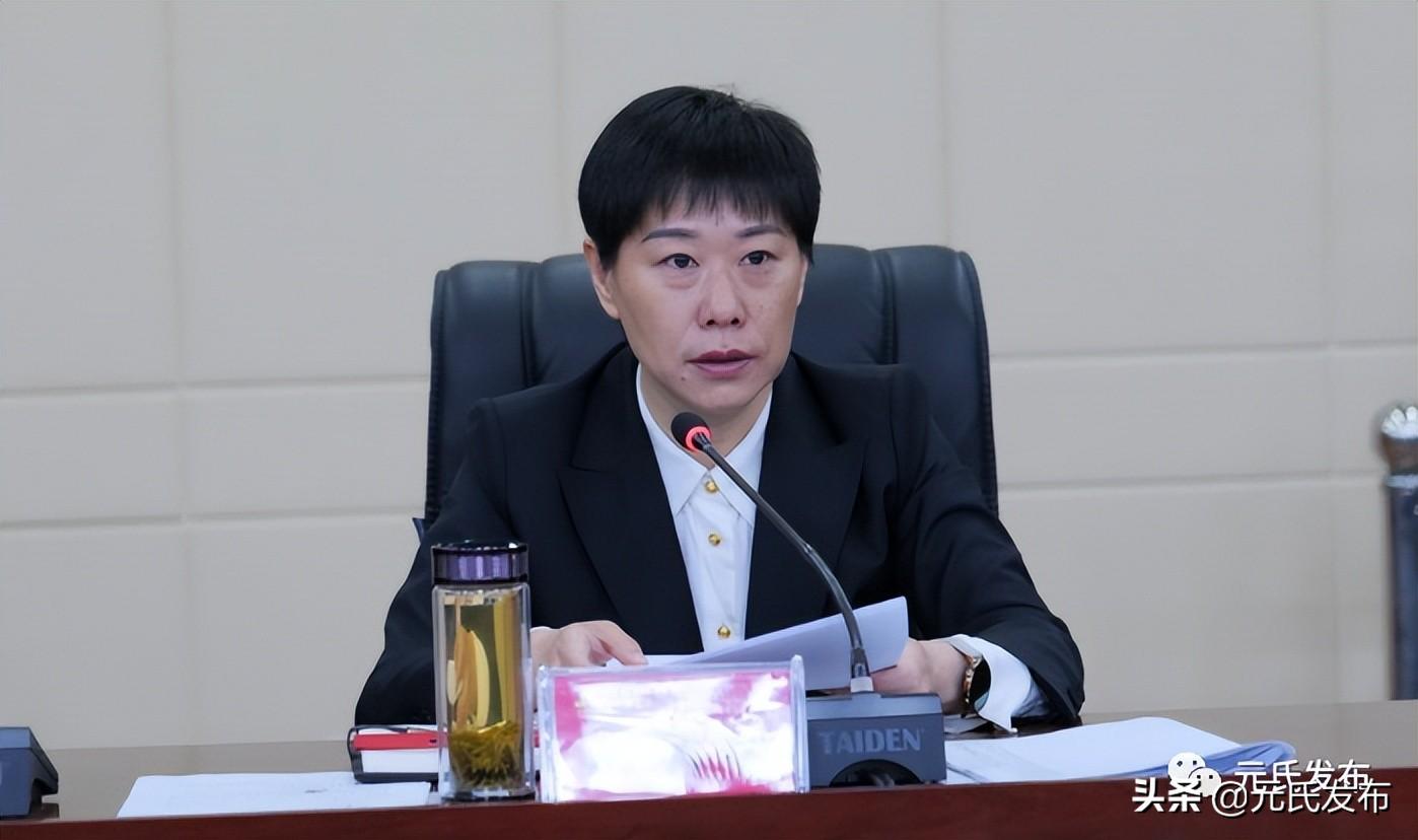 地区疫情查询系统，防控与决策的重要助手