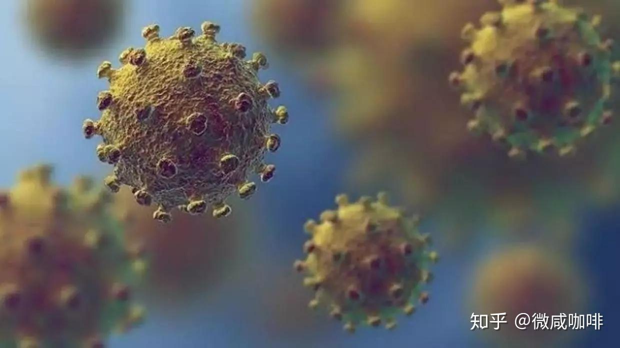 全球视角下的地区疫情最新动态，全面分析、应对策略与全球视角观察