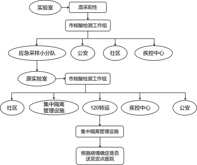 疫情管理的核心部门及其职责概述