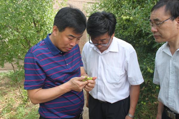 疫情防控信息发布与管理，揭秘行动部门角色