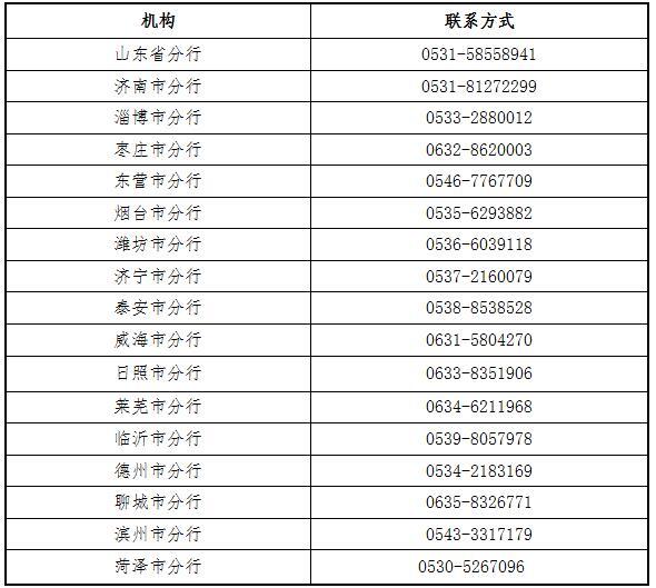 当地疫情政策查询指南，全面指南助你轻松掌握最新动态！
