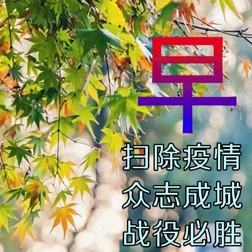 疫情报告单查询指南，轻松获取个人健康信息