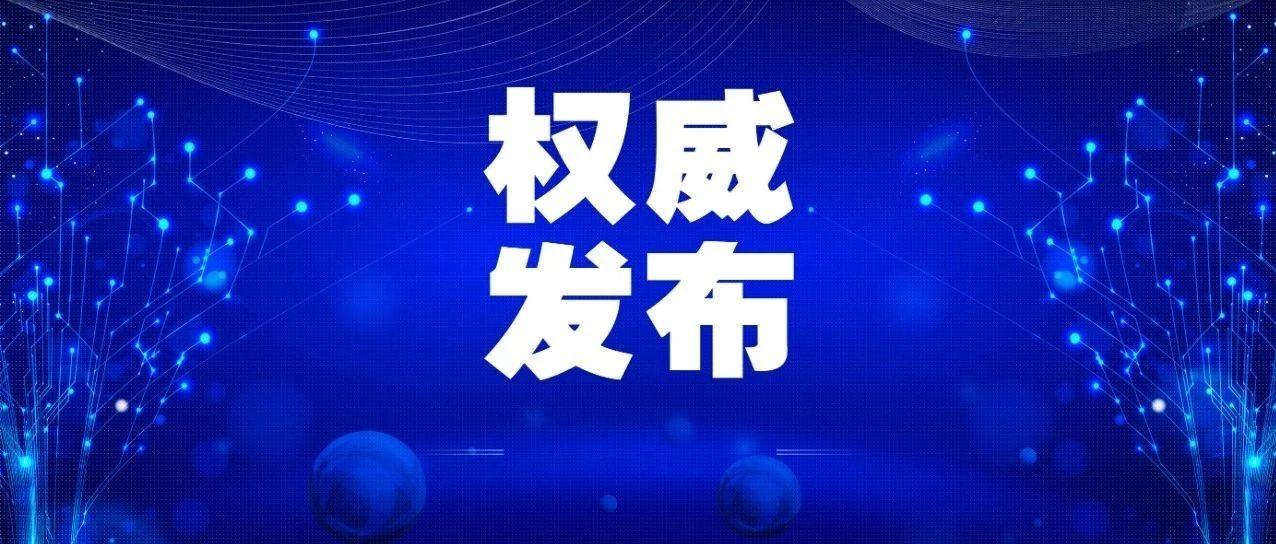 疫情防控政策咨询部门深度解析，理解与应对之道
