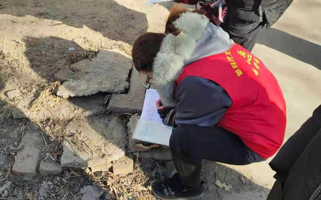 掌握最新疫情动态，如何查看当地疫情报告的关键步骤