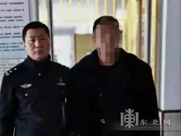 疫情报告情况格式详解与核心内容概览