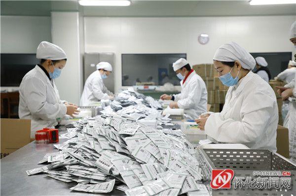 疫情报告情况格式详解与核心内容概览