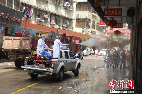 疫情报告情况格式详解与核心内容概览