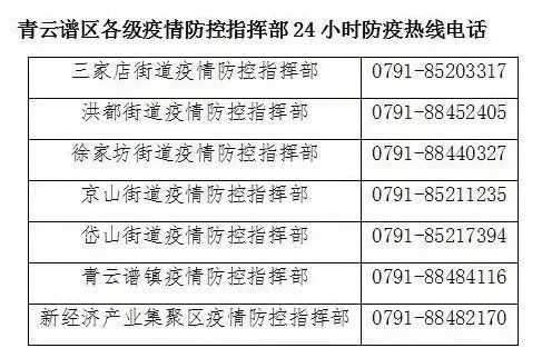 疫情防控指挥部的机构属性与功能深度解析