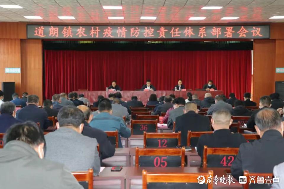 全国各地疫情动态更新及应对策略报告
