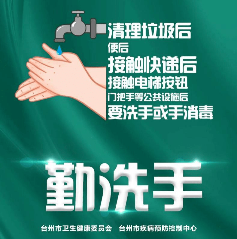 地区疫情最新动态，全面更新与深度解析